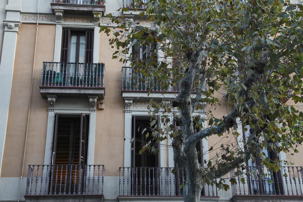 Апартаменти Barcelona Eixample Екстер'єр фото